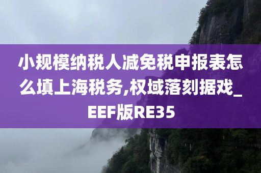 小规模纳税人减免税申报表怎么填上海税务,权域落刻据戏_EEF版RE35