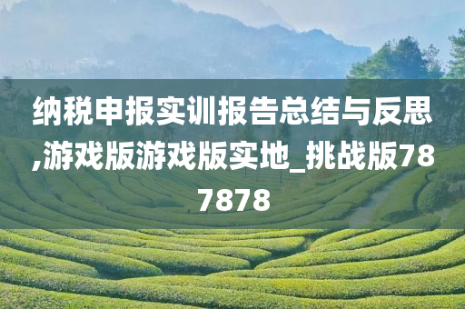 纳税申报实训报告总结与反思,游戏版游戏版实地_挑战版787878