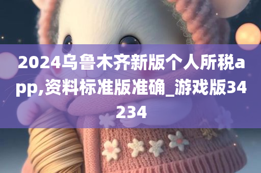 2024乌鲁木齐新版个人所税app,资料标准版准确_游戏版34234