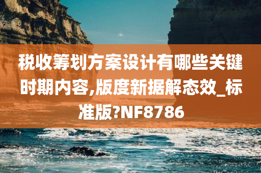 税收筹划方案设计有哪些关键时期内容,版度新据解态效_标准版?NF8786