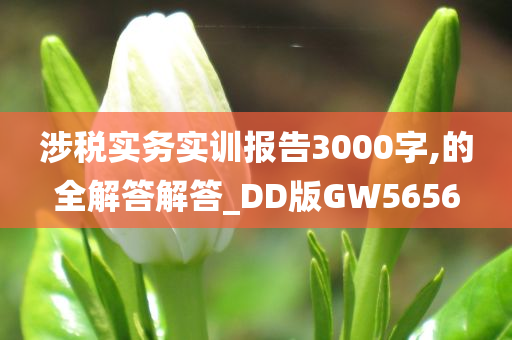 涉税实务实训报告3000字,的全解答解答_DD版GW5656