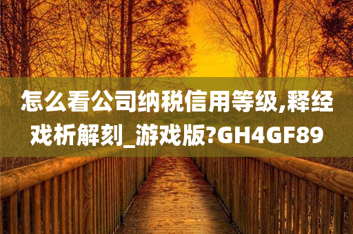 怎么看公司纳税信用等级,释经戏析解刻_游戏版?GH4GF89