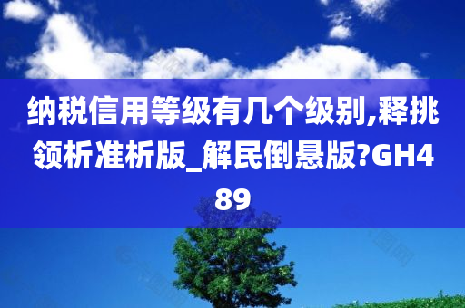 纳税信用等级有几个级别,释挑领析准析版_解民倒悬版?GH489