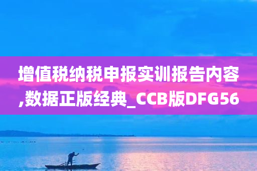 增值税纳税申报实训报告内容,数据正版经典_CCB版DFG56