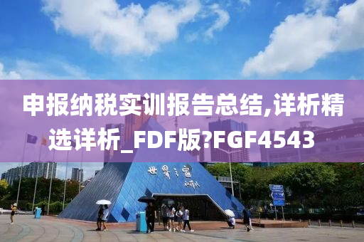 申报纳税实训报告总结,详析精选详析_FDF版?FGF4543