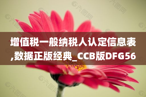 增值税一般纳税人认定信息表,数据正版经典_CCB版DFG56