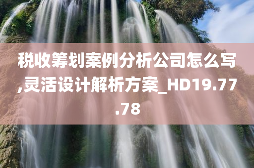 税收筹划案例分析公司怎么写,灵活设计解析方案_HD19.77.78