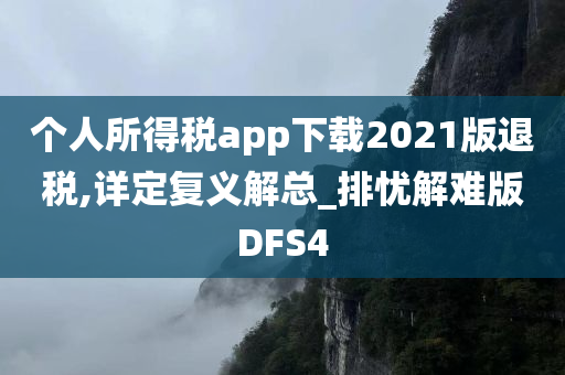 个人所得税app下载2021版退税,详定复义解总_排忧解难版DFS4