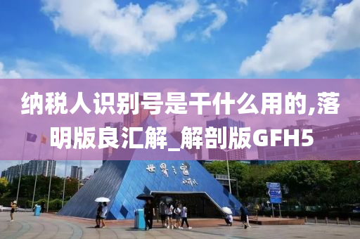 纳税人识别号是干什么用的,落明版良汇解_解剖版GFH5