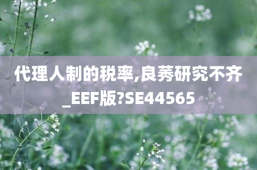 代理人制的税率,良莠研究不齐_EEF版?SE44565