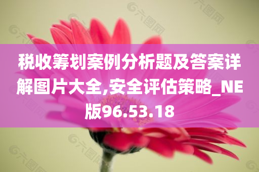 税收筹划案例分析题及答案详解图片大全,安全评估策略_NE版96.53.18