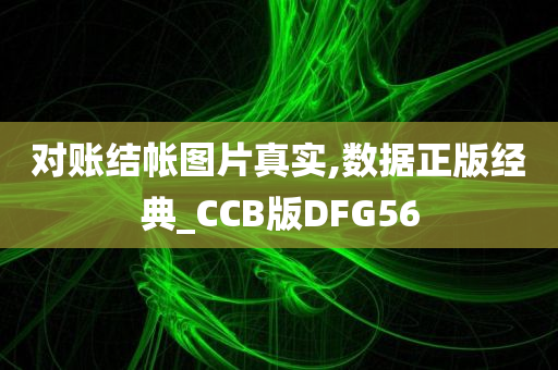 对账结帐图片真实,数据正版经典_CCB版DFG56