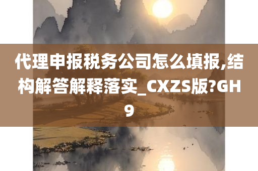 代理申报税务公司怎么填报,结构解答解释落实_CXZS版?GH9