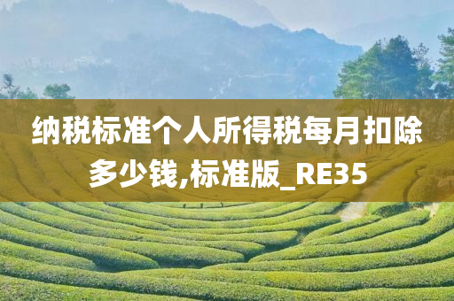 纳税标准个人所得税每月扣除多少钱,标准版_RE35