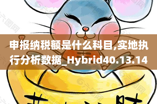 申报纳税额是什么科目,实地执行分析数据_Hybrid40.13.14