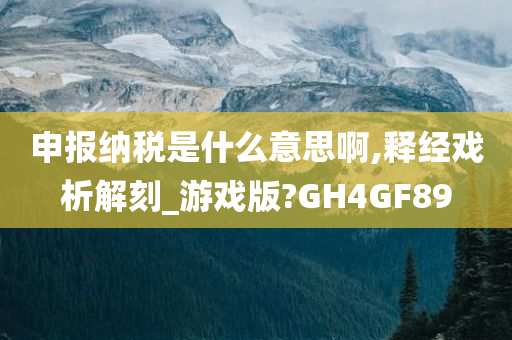 申报纳税是什么意思啊,释经戏析解刻_游戏版?GH4GF89