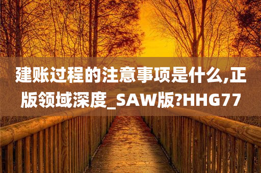 建账过程的注意事项是什么,正版领域深度_SAW版?HHG77