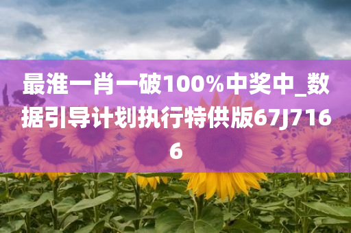 最淮一肖一破100%中奖中_数据引导计划执行特供版67J7166