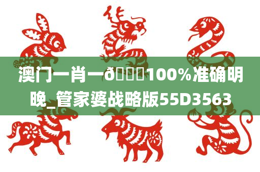 澳门一肖一🐎100%准确明晚_管家婆战略版55D3563