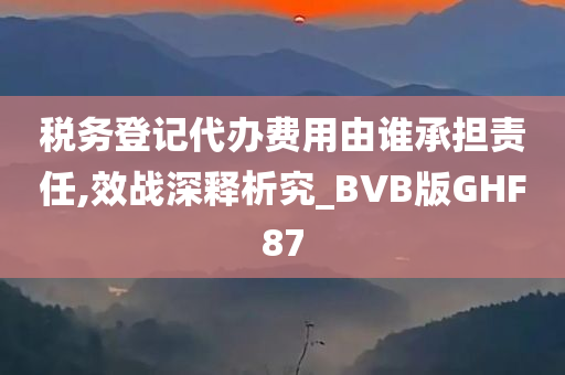 税务登记代办费用由谁承担责任,效战深释析究_BVB版GHF87