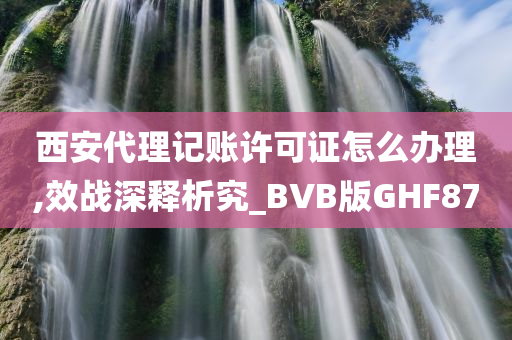 西安代理记账许可证怎么办理,效战深释析究_BVB版GHF87