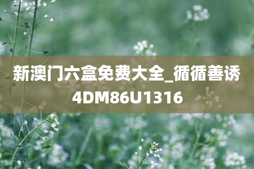 新澳门六盒免费大全_循循善诱4DM86U1316