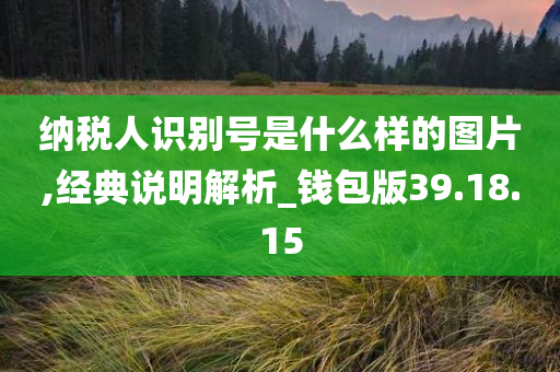 纳税人识别号是什么样的图片,经典说明解析_钱包版39.18.15