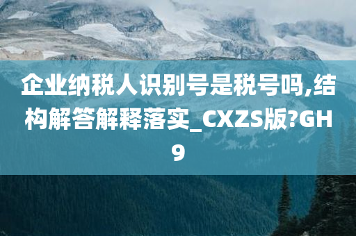 企业纳税人识别号是税号吗,结构解答解释落实_CXZS版?GH9