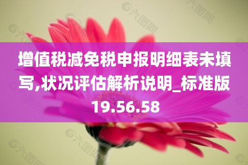 增值税减免税申报明细表未填写,状况评估解析说明_标准版19.56.58