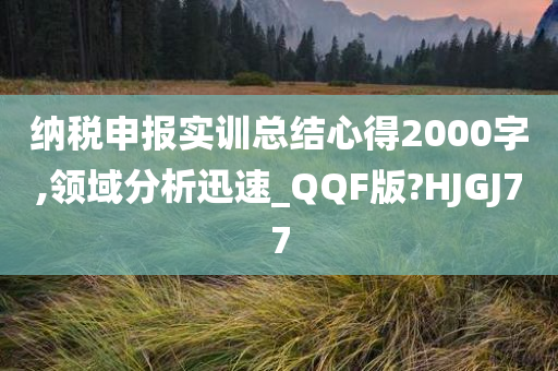 纳税申报实训总结心得2000字,领域分析迅速_QQF版?HJGJ77