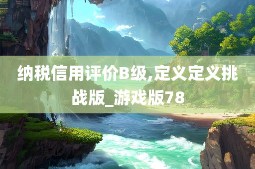 纳税信用评价B级,定义定义挑战版_游戏版78