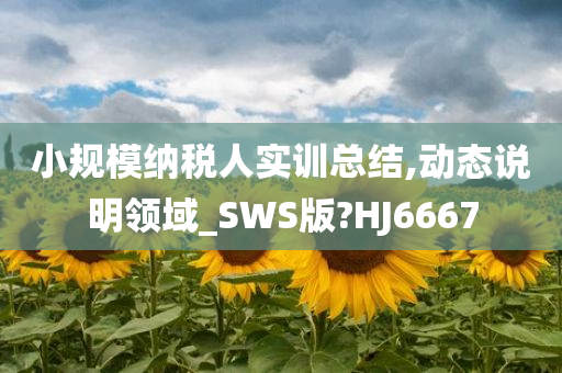 小规模纳税人实训总结,动态说明领域_SWS版?HJ6667