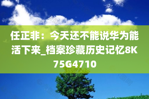 任正非：今天还不能说华为能活下来_档案珍藏历史记忆8K75G4710