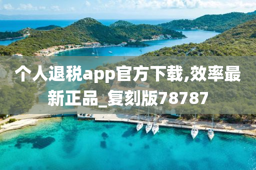 个人退税app官方下载,效率最新正品_复刻版78787