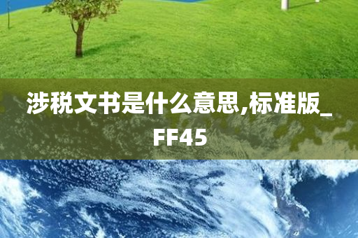 涉税文书是什么意思,标准版_FF45