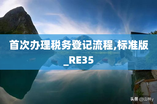 首次办理税务登记流程,标准版_RE35