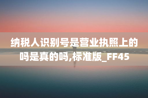 纳税人识别号是营业执照上的吗是真的吗,标准版_FF45