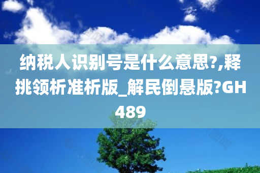 纳税人识别号是什么意思?,释挑领析准析版_解民倒悬版?GH489