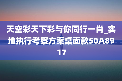 天空彩天下彩与你同行一肖_实地执行考察方案桌面款50A8917