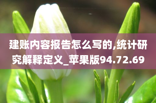 建账内容报告怎么写的,统计研究解释定义_苹果版94.72.69