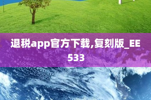 退税app官方下载,复刻版_EE533