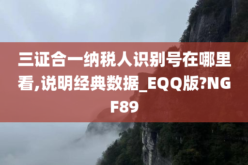 三证合一纳税人识别号在哪里看,说明经典数据_EQQ版?NGF89