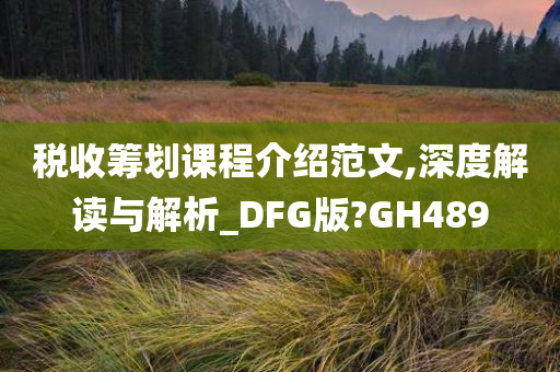 税收筹划课程介绍范文,深度解读与解析_DFG版?GH489