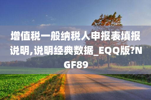 增值税一般纳税人申报表填报说明,说明经典数据_EQQ版?NGF89