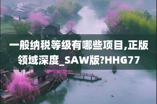 一般纳税等级有哪些项目,正版领域深度_SAW版?HHG77