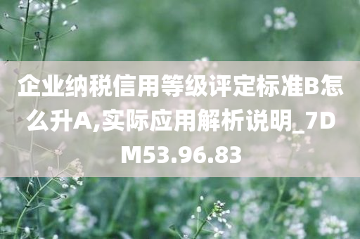 企业纳税信用等级评定标准B怎么升A,实际应用解析说明_7DM53.96.83