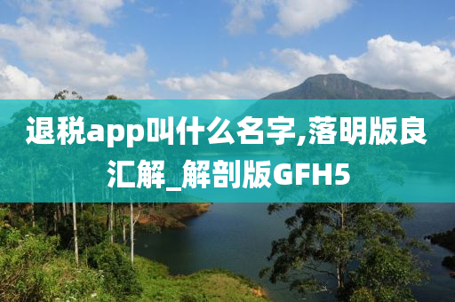 退税app叫什么名字,落明版良汇解_解剖版GFH5