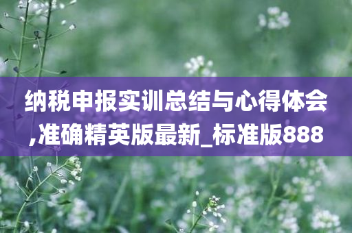 纳税申报实训总结与心得体会,准确精英版最新_标准版888