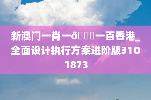 新澳门一肖一🐎一百香港_全面设计执行方案进阶版31O1873