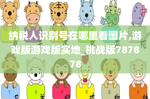 纳税人识别号在哪里看图片,游戏版游戏版实地_挑战版787878